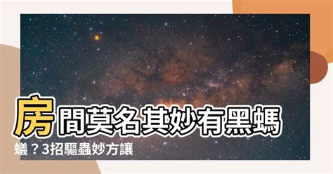 房間莫名其妙有螞蟻|家裡螞蟻爬不停？五招防蟻術下「逐客令」